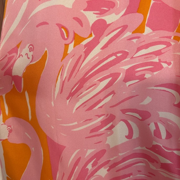 Lilly Pulitzer 🦩 maxi - Picture 3 of 3